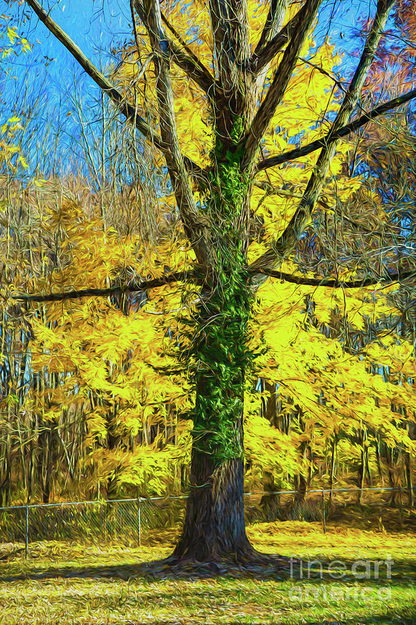 Yellow Montage Photograph by Rick Bragan
