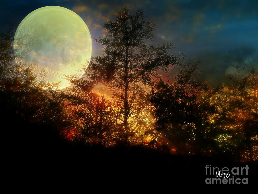 Yellow Moon Photograph by Maria Urso