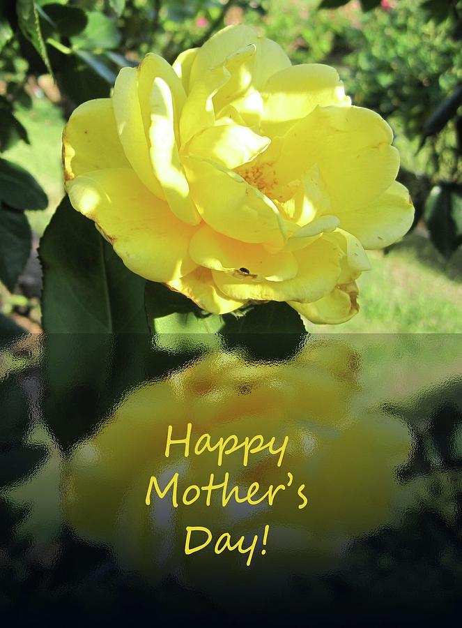 Yellow Mothers Day Photograph by Cynthia Westbrook
