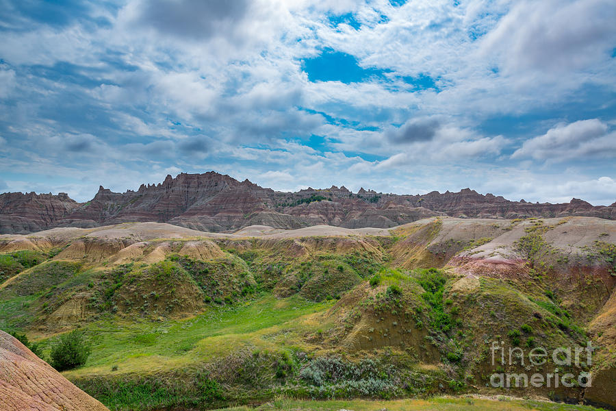 Yellow Mounds of Badlands NP Photograph by Michael Ver Sprill