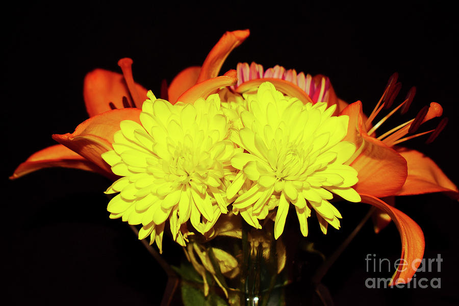Flower Photograph - Yellow Mums and Orange Lilies  by James Fannin