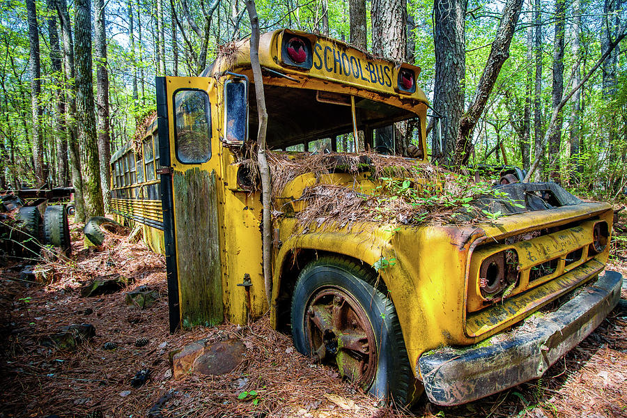 Yellow old school bus Photograph by Menachem Ganon