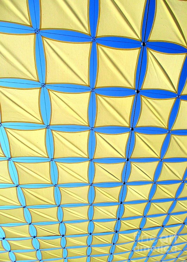 Yellow On Blue Sky 2 Photograph by Randall Weidner