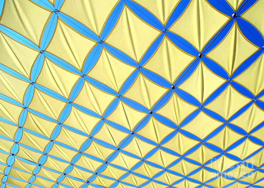 Yellow Photograph - Yellow On Blue Sky 3 by Randall Weidner