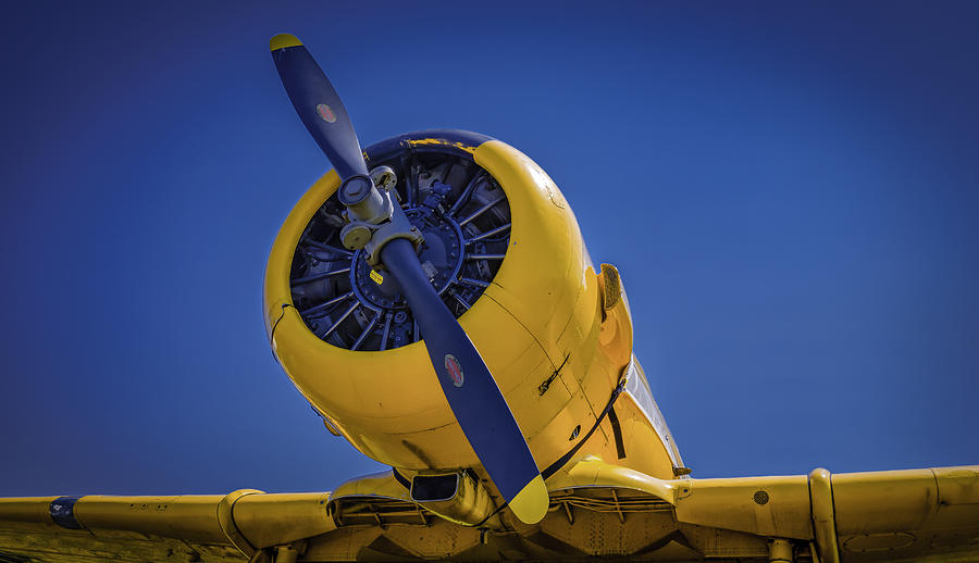 Yellow on Blue Static by Jorge Perez - BlueBeardImagery Yellow on Blue Static by Jorge Perez - BlueBeardImagery