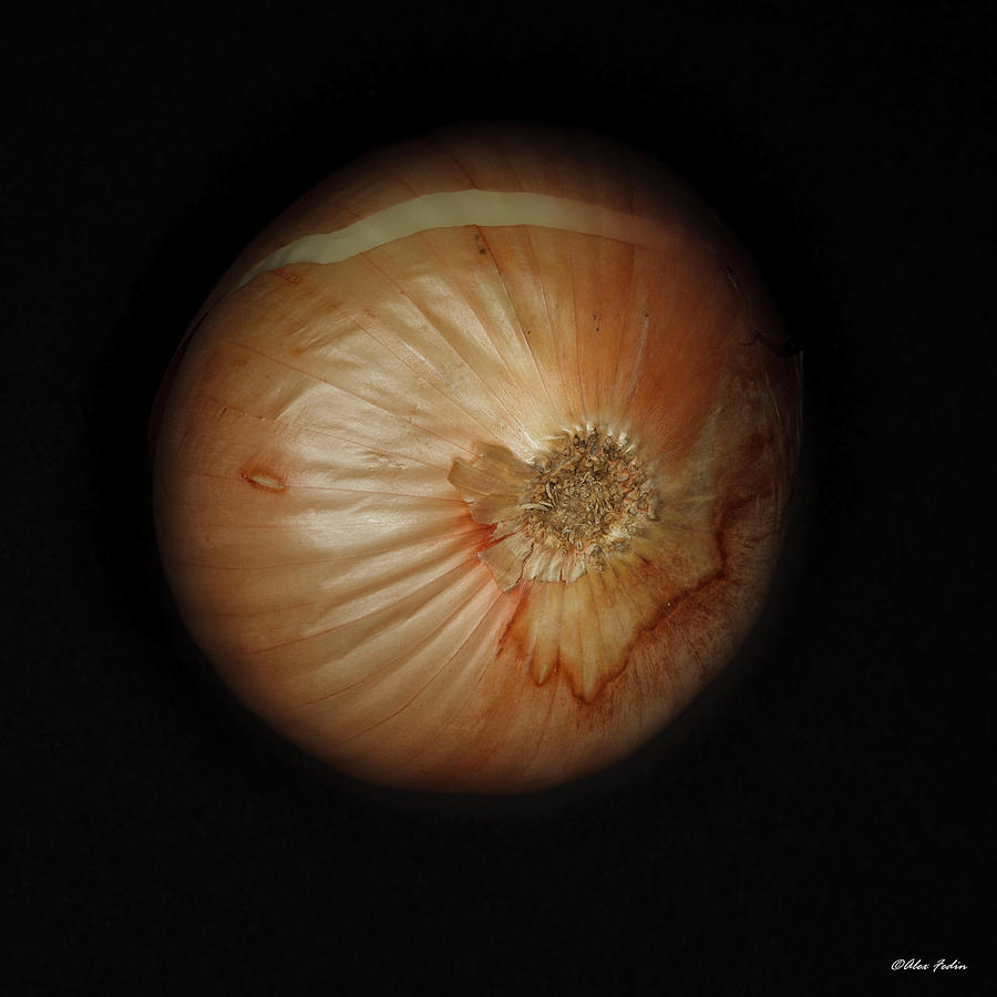 Yellow Onion Photograph by Alexander Fedin