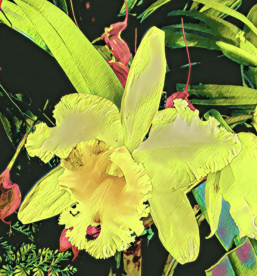 Yellow Orchid Aloha Photograph by Joalene Young