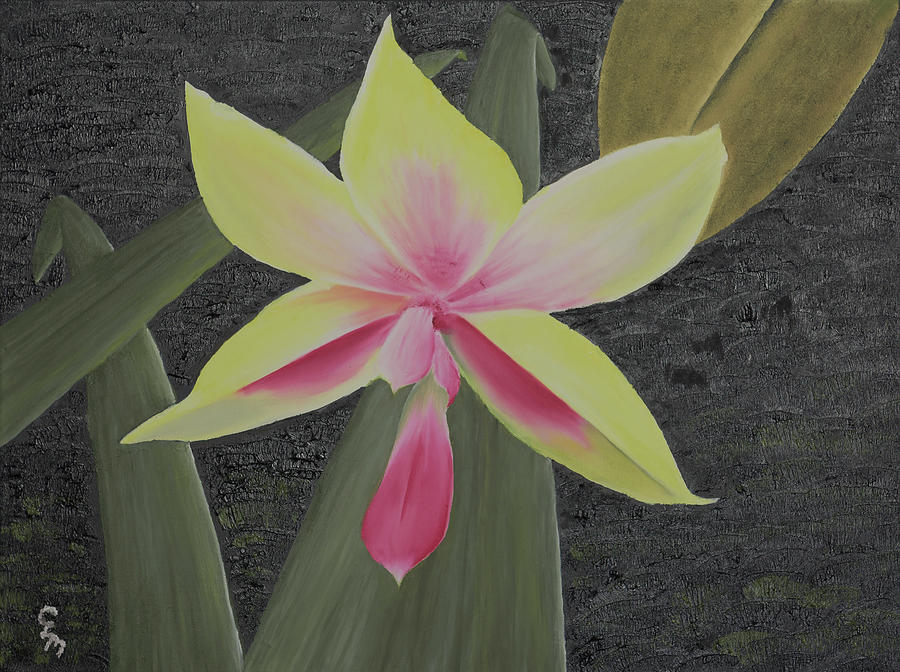Yellow Orchid Painting by Stephen Daddona