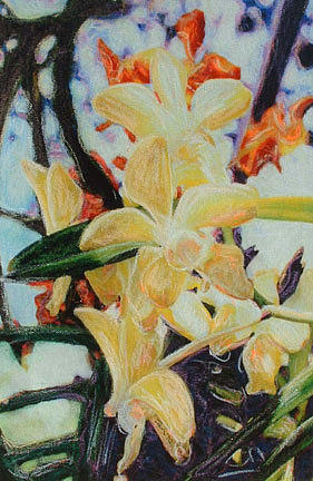 Yellow Orchids Mixed Media by Banning Lary