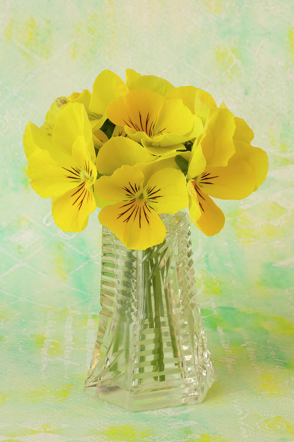 Yellow Pansies In Vase  Photograph by Sandra Foster