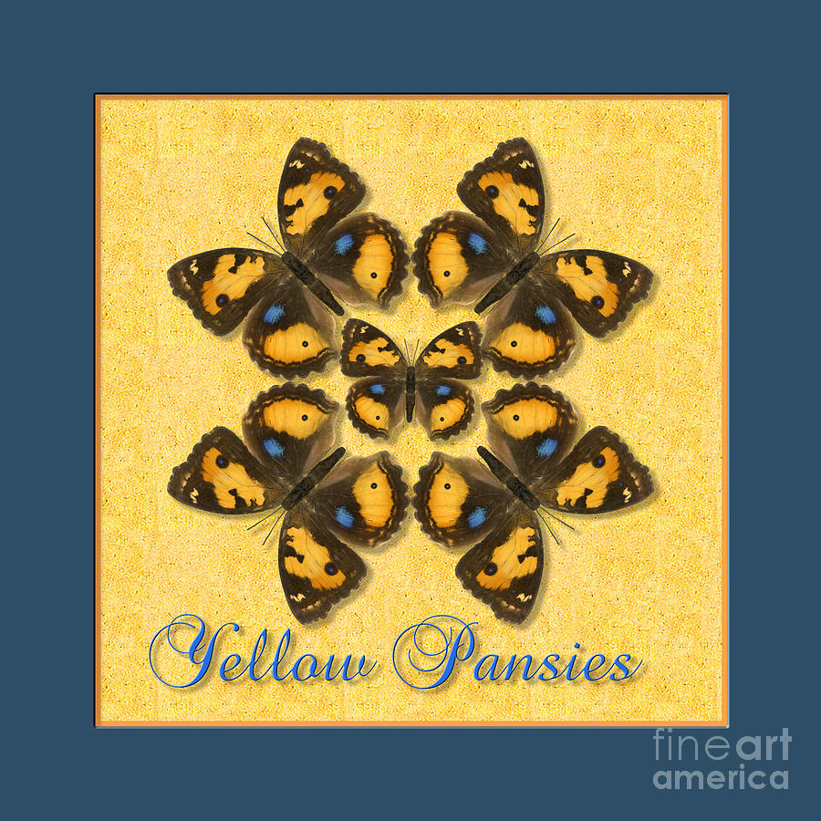 Yellow Pansy Butterfly Wheel Photograph by Melissa A Benson