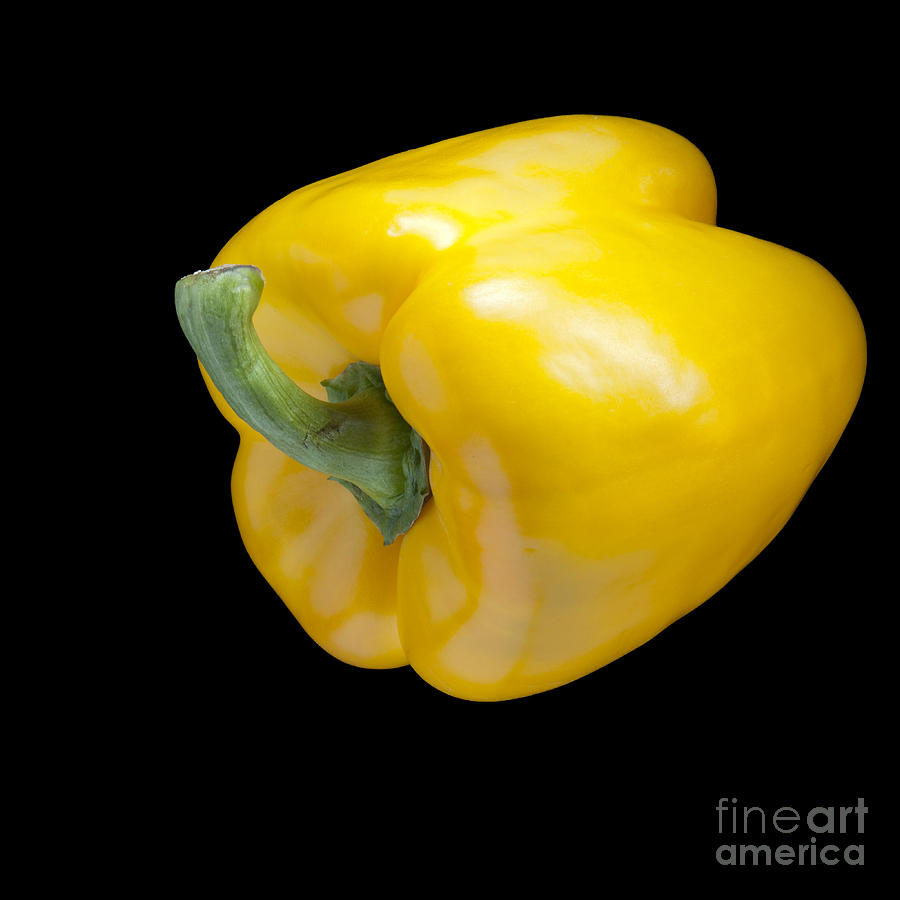 Nature Photograph - Yellow Pepper by Heiko Koehrer-Wagner