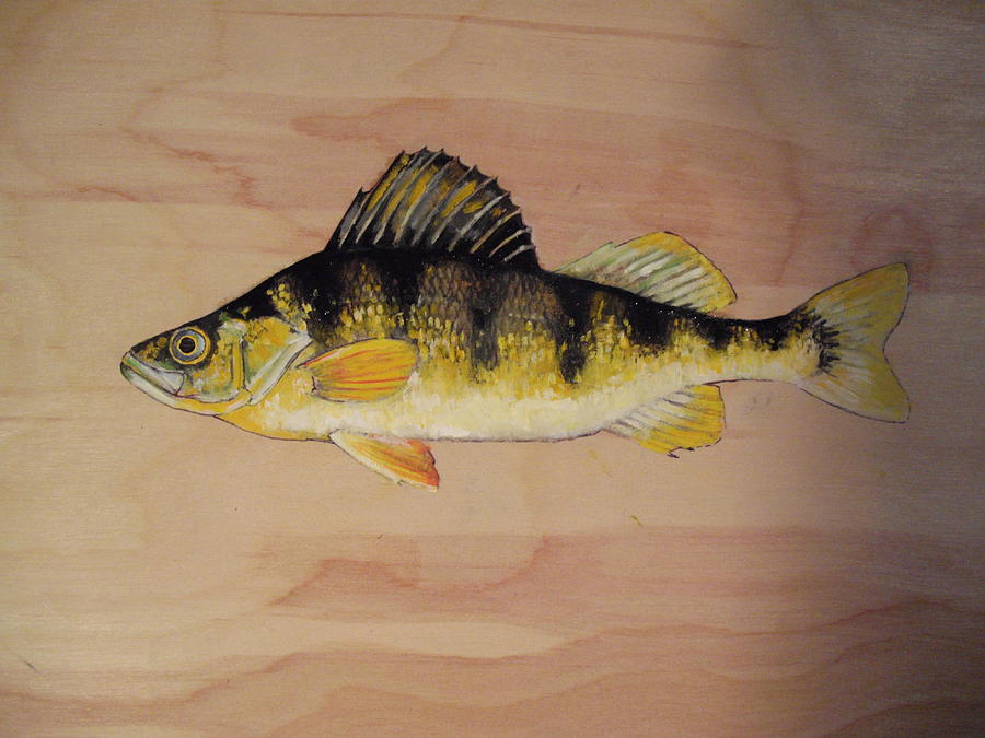 painted perch