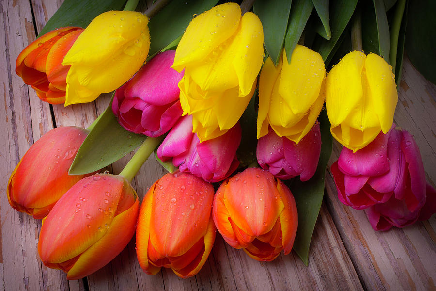 New Photo: Pink and Yellow Tulips