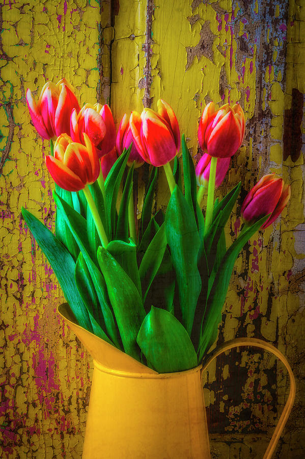 Yellow Pitcher Of Colorful Tulips Photograph by Garry Gay