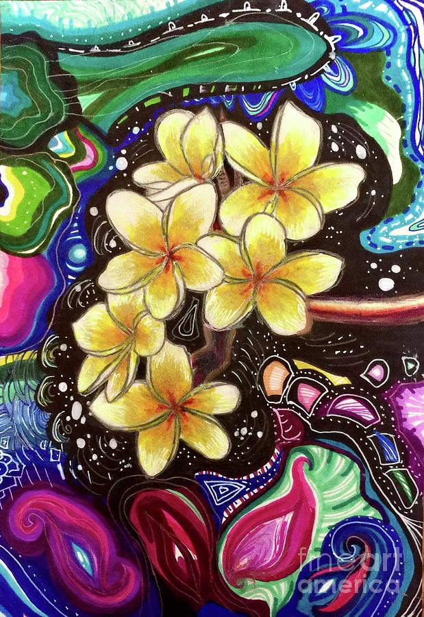 Flower Drawing - Yellow Plumeria by Ally Spray
