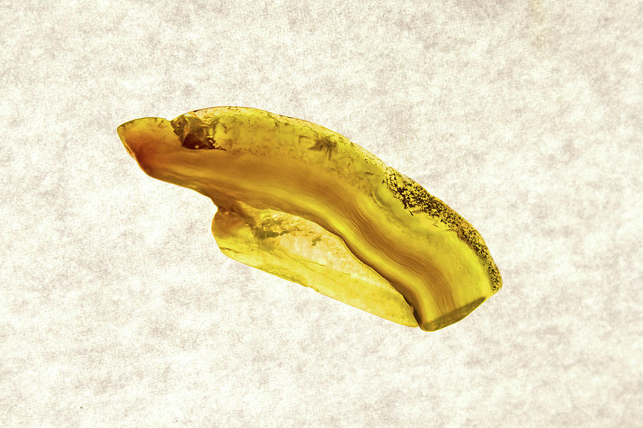 Yellow Polished Rock Photograph by Ira Marcus