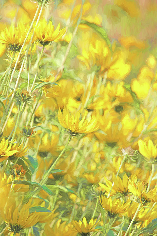 Yellow Prairie Compass Flowers Photograph by Jennie Marie Schell