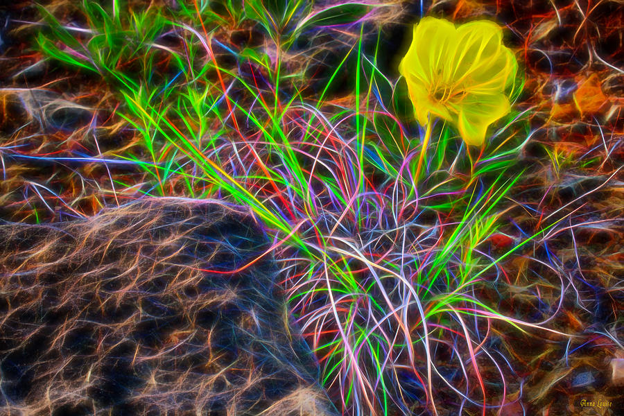 Yellow Primrose Electrify Photograph by Anna Louise