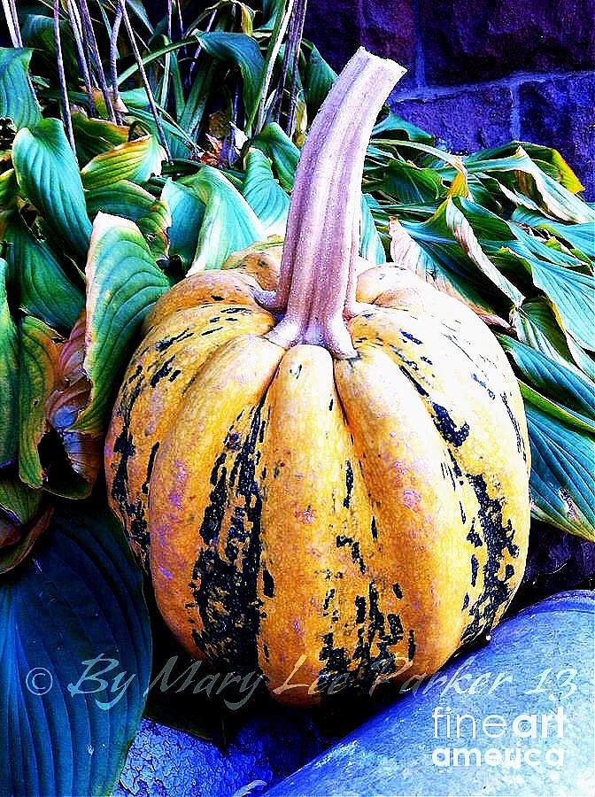 Yellow Pumpkin Photograph by MaryLee Parker