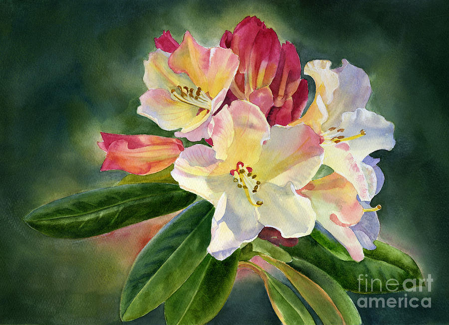 Flower Painting - Yellow Rhododendron Dark Background by Sharon Freeman