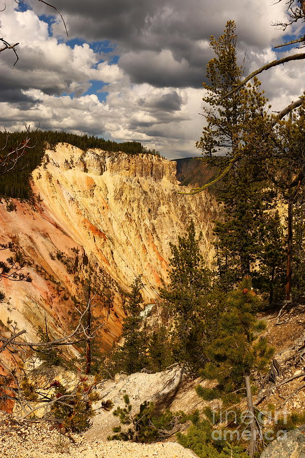 Yellow Rocks Of Yellowstone River Valley Photograph by Christiane Schulze Art And Photography