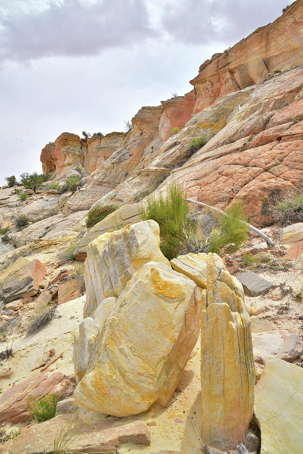 Yellow Rocks Photograph by Ray Mathis