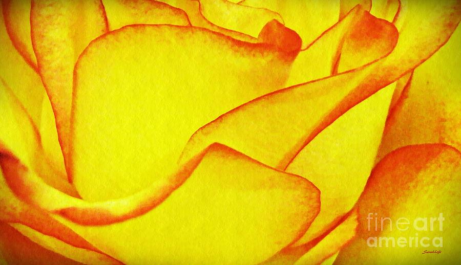 Rose Photograph - Yellow Rose Abstract by Sarah Loft