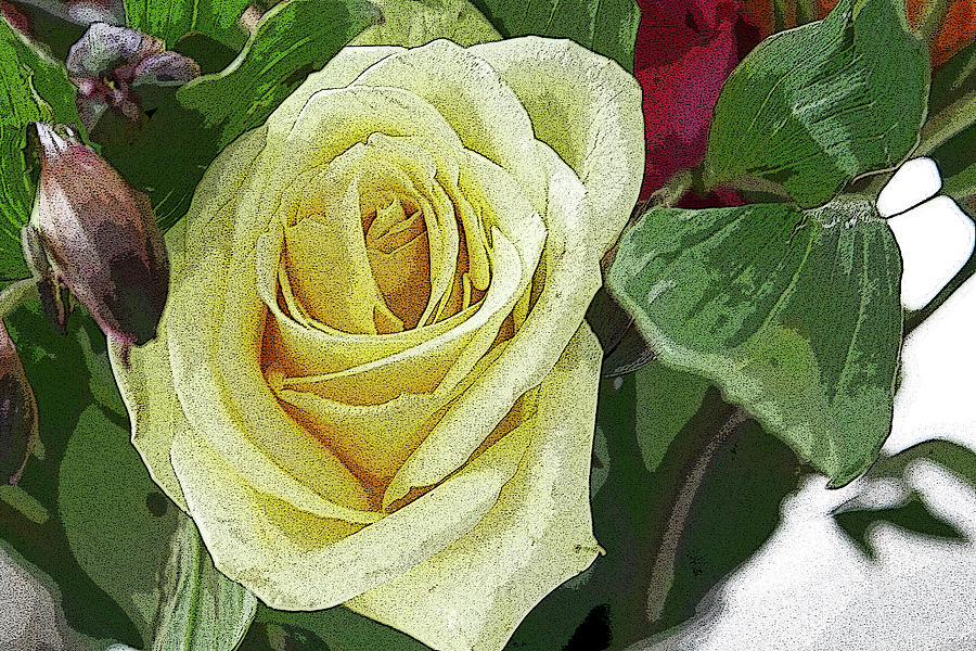 Yellow Rose - altered Photograph by Aggy Duveen