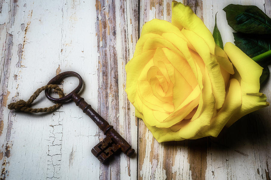 Yellow Rose And Old Key Photograph by Garry Gay