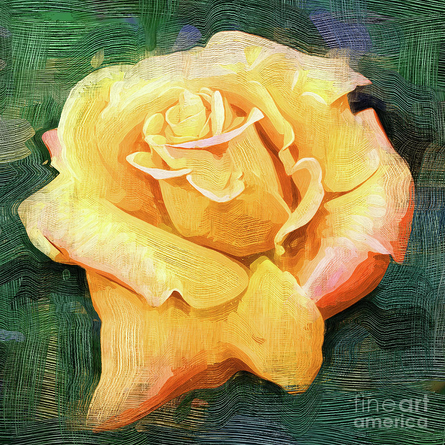 Yellow Rose Bloom In Oil Digital Art by Kirt Tisdale