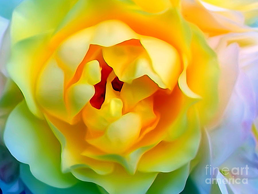 Yellow Rose Digital Art by Ed Weidman