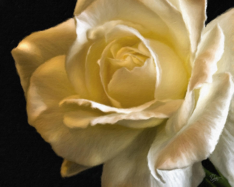 Yellow Rose Faux Oil Painting Photograph by Endre Balogh