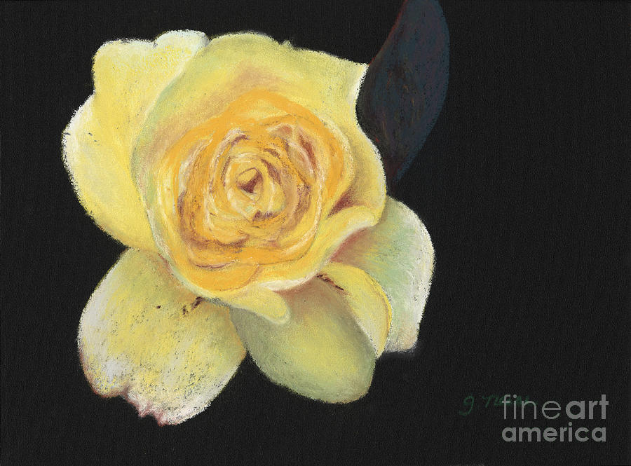 Yellow Rose Painting by Ginny Neece