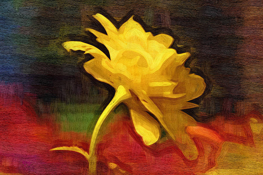 Yellow Rose Digital Art by Holly Ethan