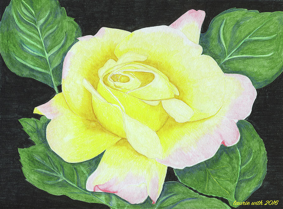 Yellow Rose Drawing by Laurie With