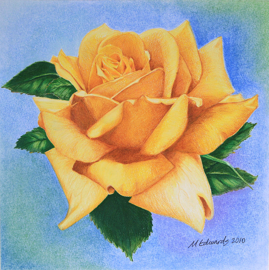 Yellow Rose Drawing by Marna Edwards Flavell
