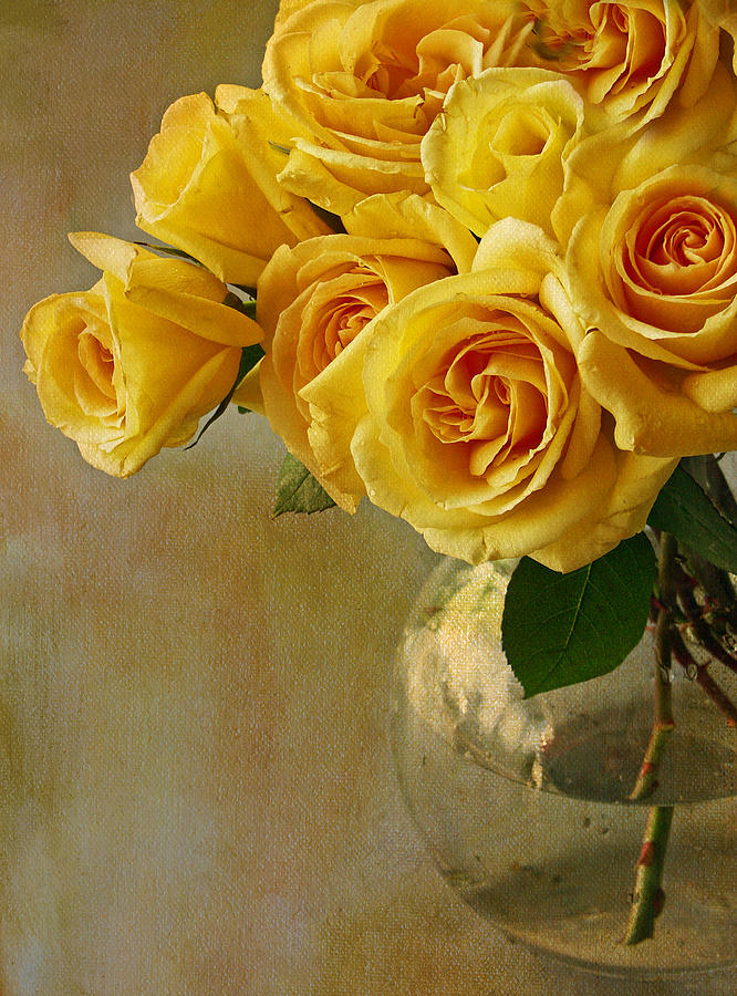 Yellow Rose Of... Photograph by Rebecca Cozart