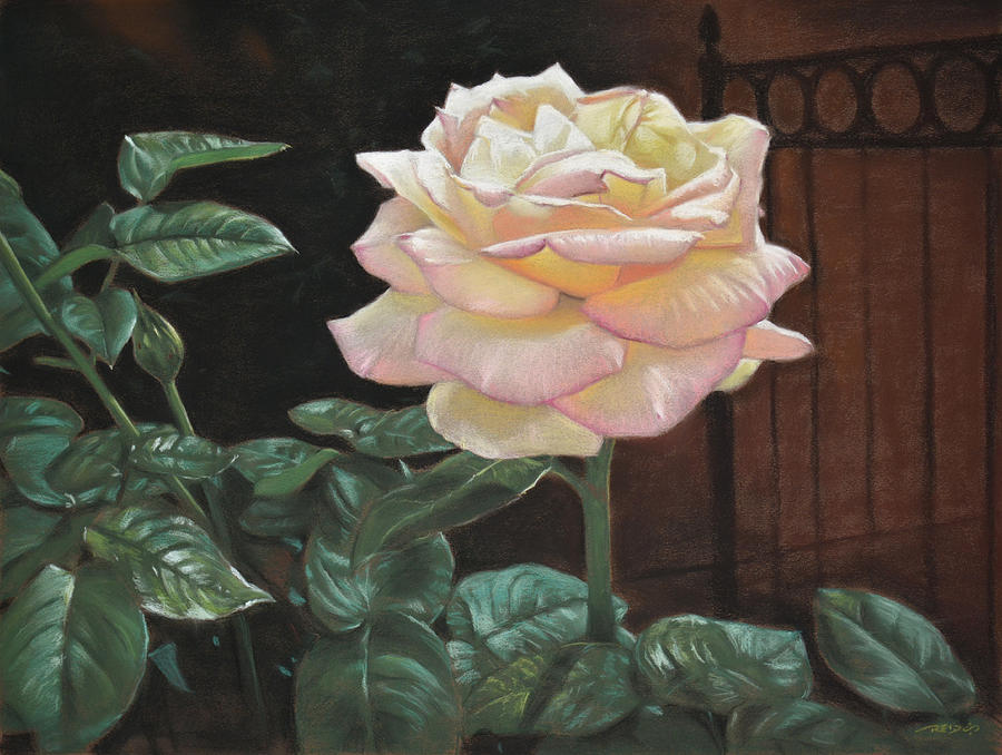 Flower Painting - Yellow Rose of Texas by Christopher Reid