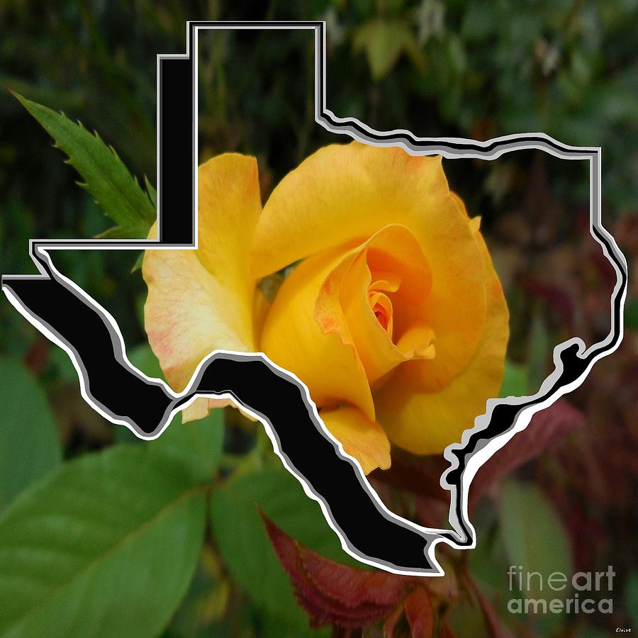 Yellow Rose of Texas with Texas Mixed Media by Eloise Schneider Mote