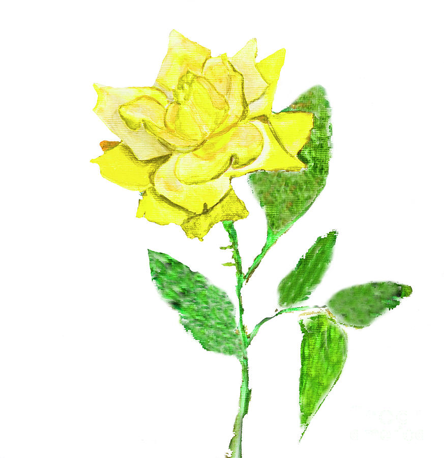 Yellow rose, painting Painting by Irina Afonskaya