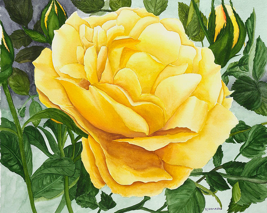 Yellow Rose Painting by Robert Thomaston