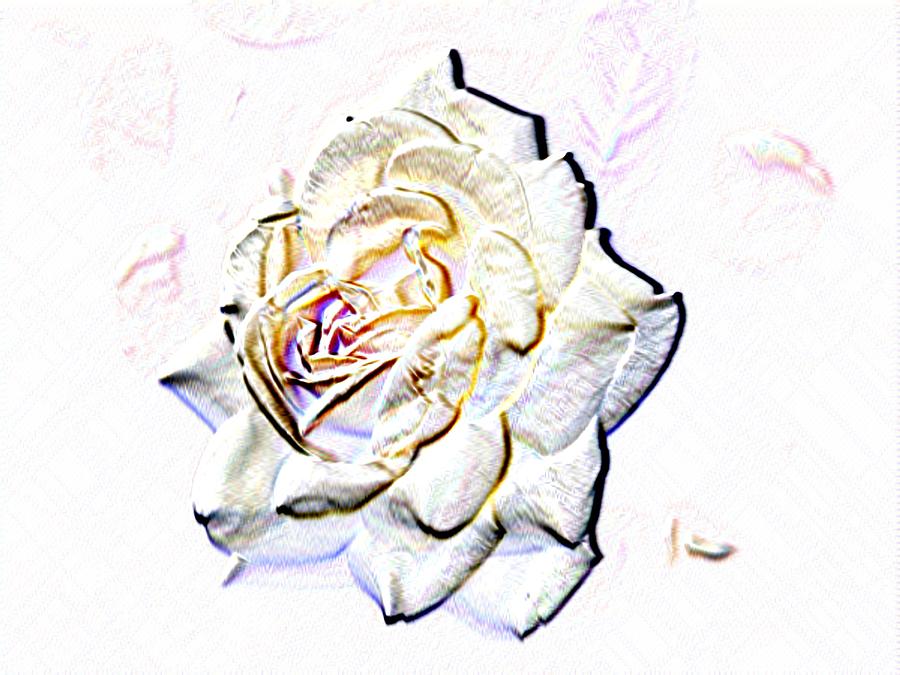 Yellow Rose Digital Art by Tim Allen