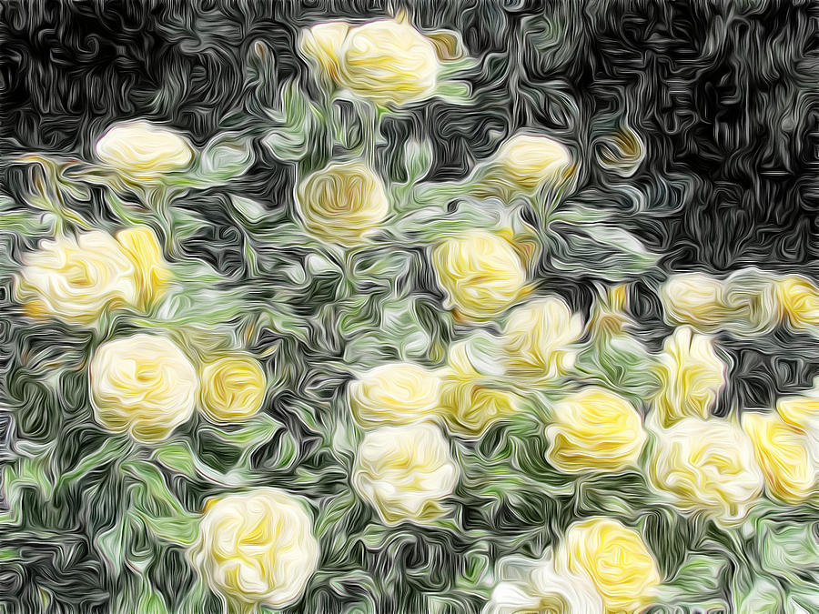 Nature Digital Art - Yellow Roses by Carol Crisafi
