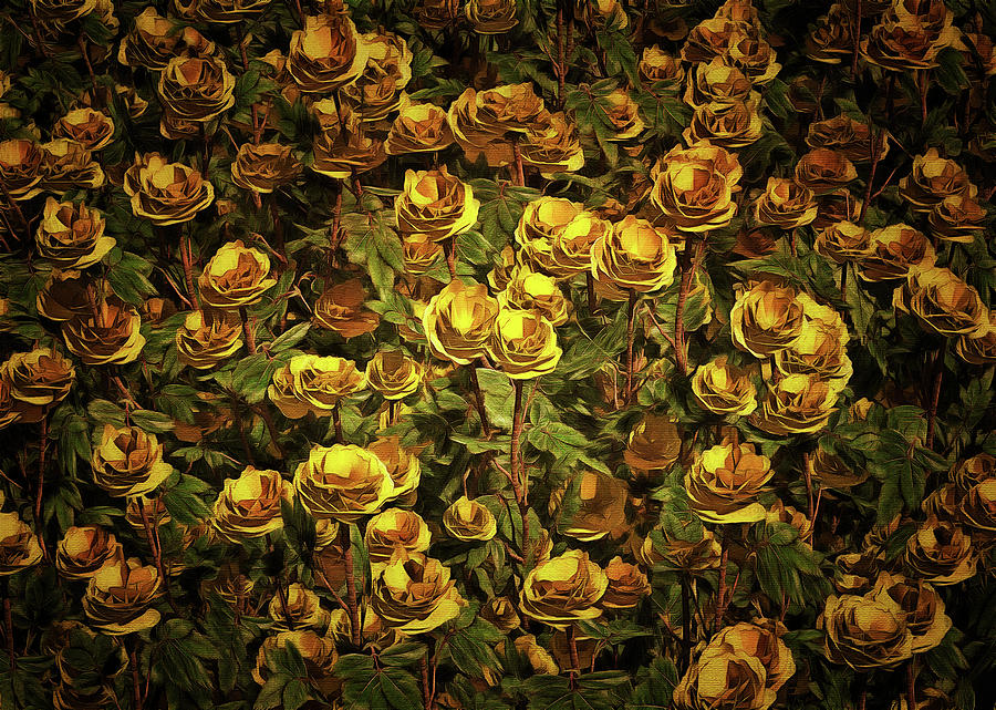 Yellow roses Painting by Jan Keteleer