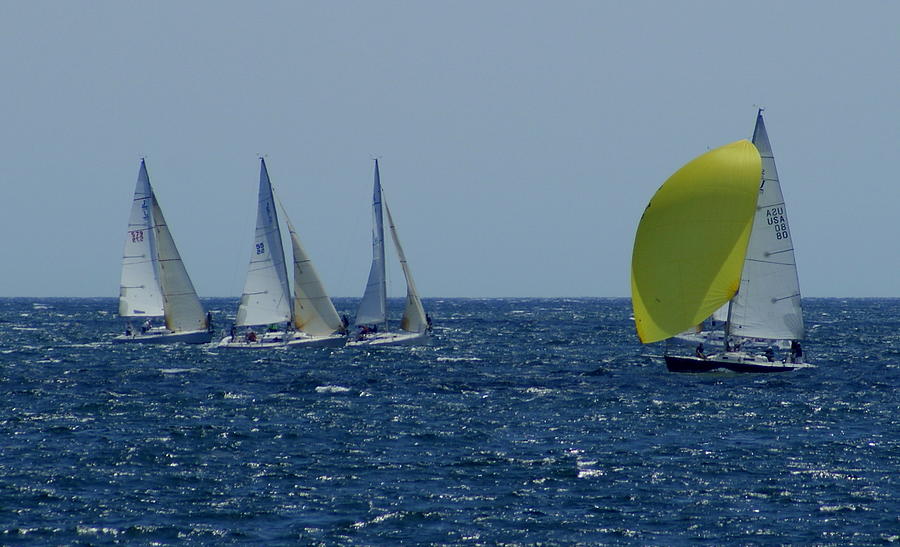Yellow Sail Photograph by Lois Lepisto