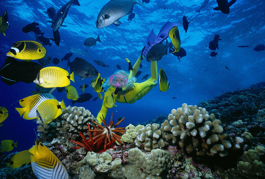 Blue Photograph - Yellow Scuba Diver by Ed Robinson - Printscapes