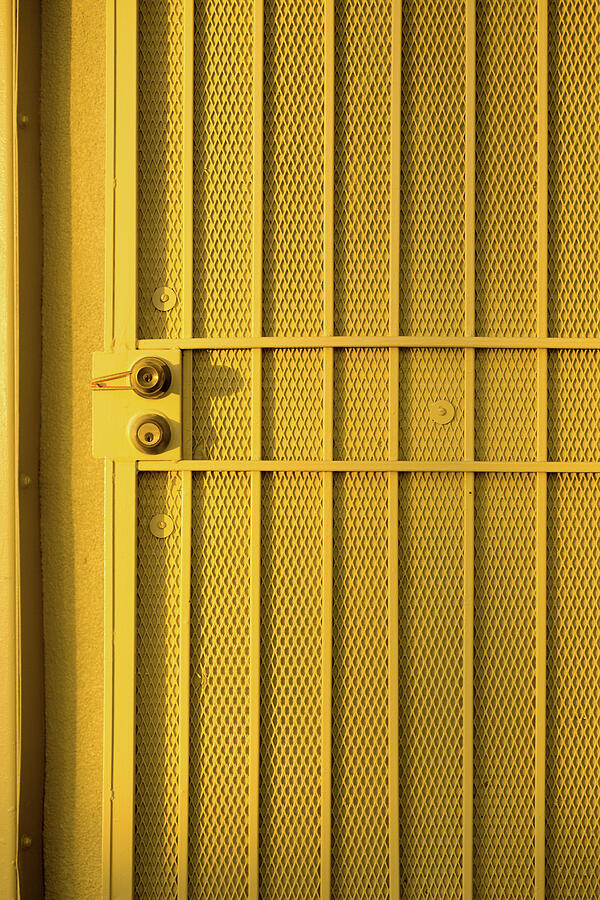 Yellow Security Door Venice Beach California Photograph by David Smith