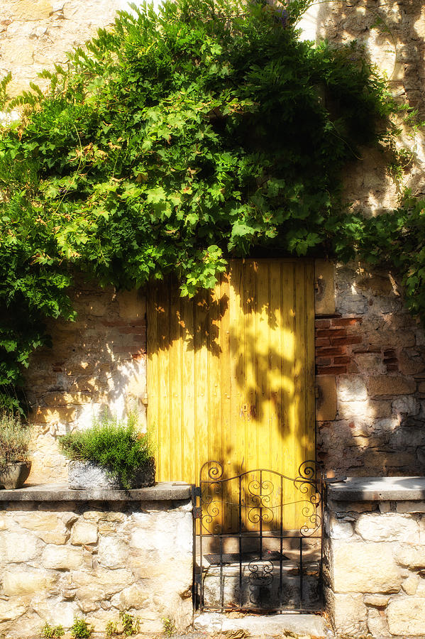 Unique Photograph - Yellow Shadowed Door with Vines by Georgia Clare