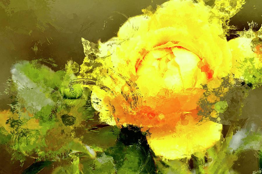 Yellow Splatter Rose Photograph